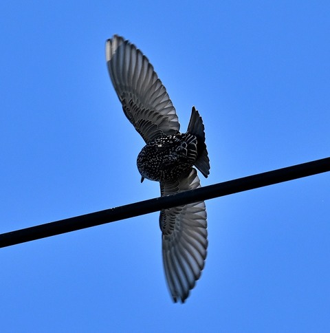 DSC_5607.jpg1