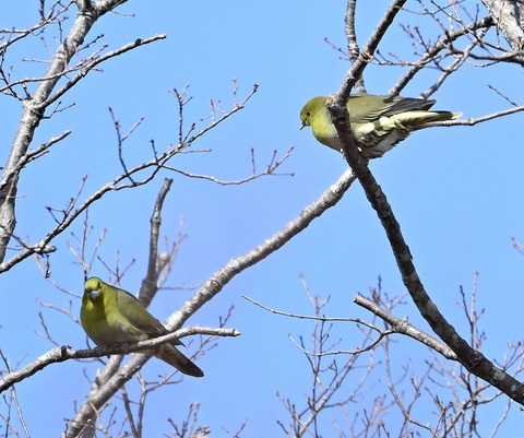 DSC_0584.jpg1