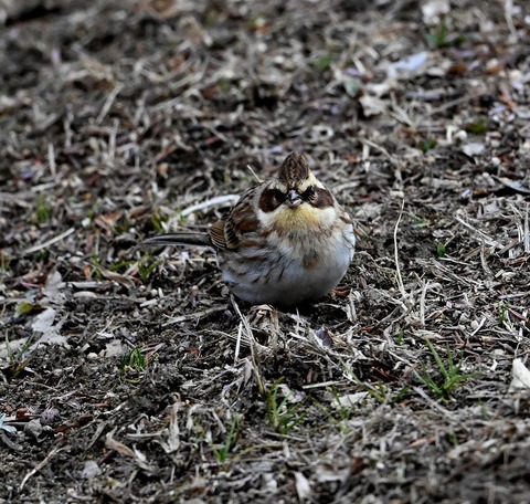DSC_0848.jpg1