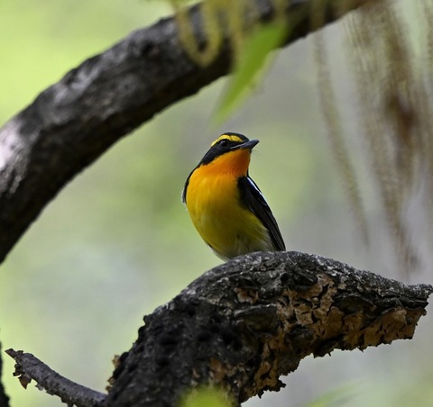 DSC_0730.jpg1