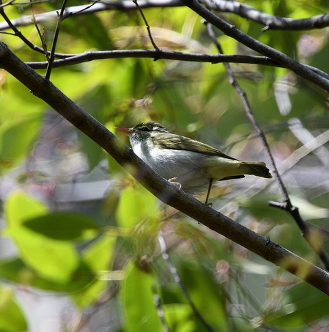 DSC_0220.jpg1