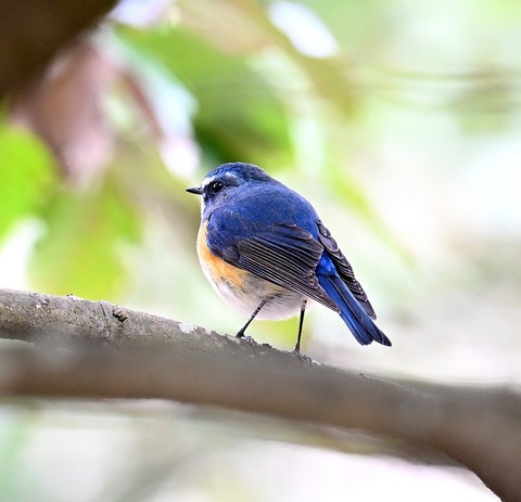 DSC_5195.jpg1