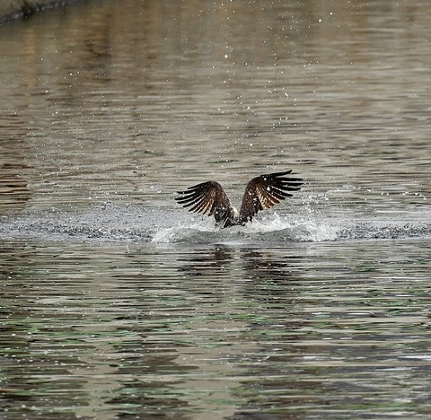 DSC_90761
