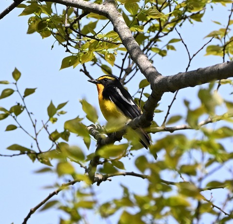 DSC_0309.jpg1