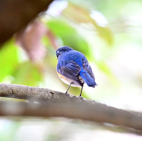 DSC_5192.jpg1