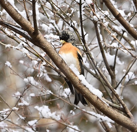 DSC_0715.jpg1