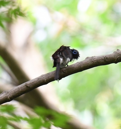 DSC_40021