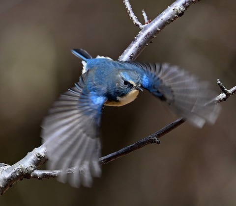 DSC_0844.jpg1