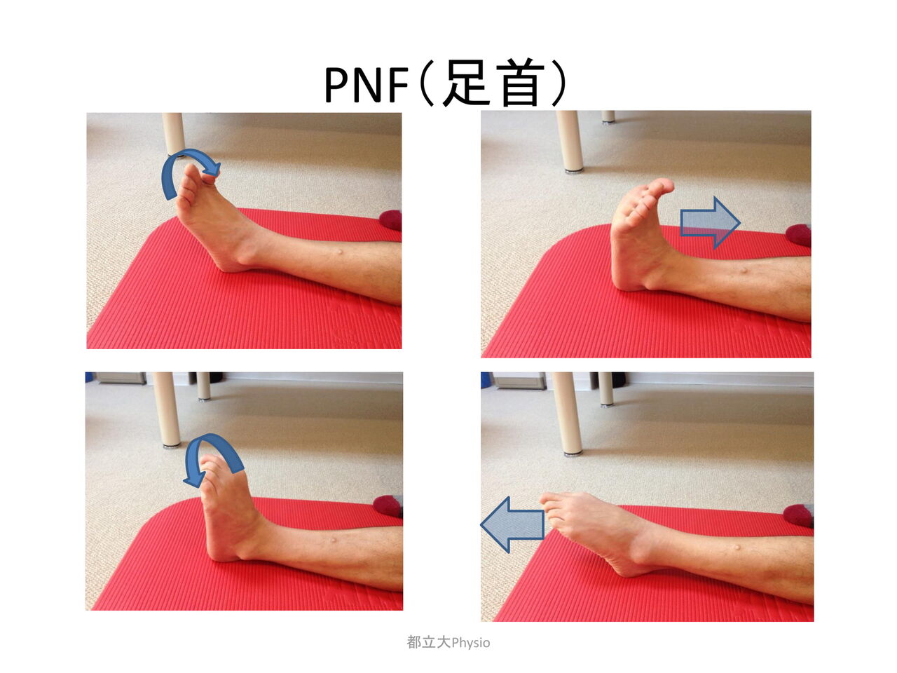 足関節 都立大 Physio Care Conditioning Blog