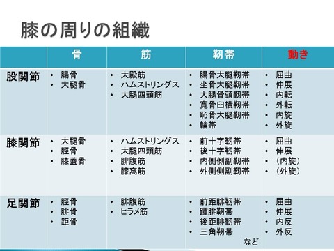 スライド6