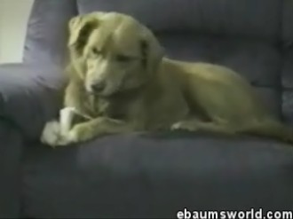 ���ΰ�ͼǵ�