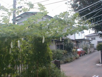 ������ê��ĥ��