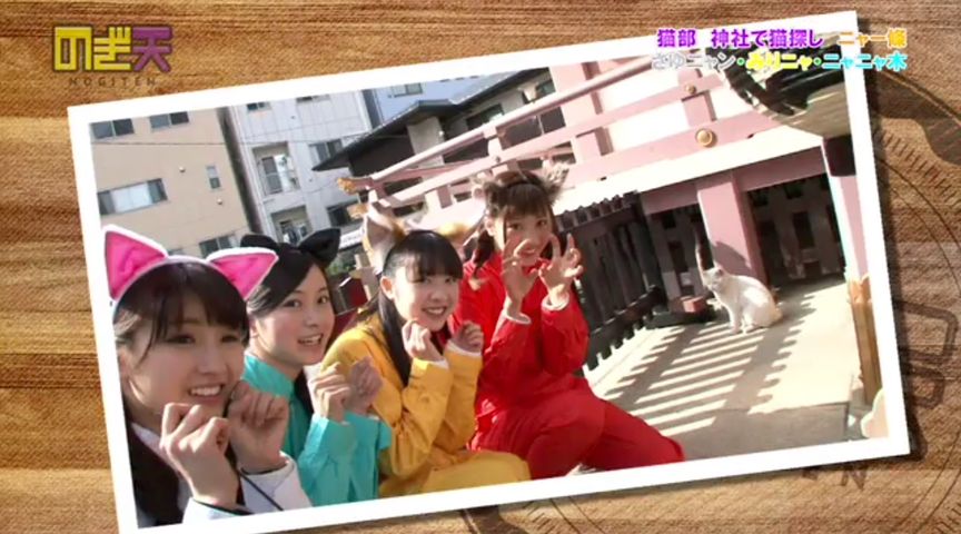 乃木坂46 乃木坂って猫派より犬派の方が多いよな 欅坂46まとめタイムズ