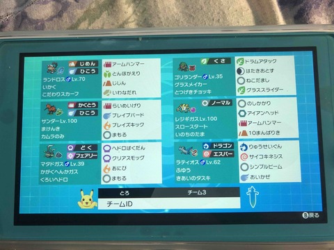 ポケモン剣盾 ダブル レジギガスパーティー トロの日記 自作カードゲーム ポケモン剣盾 ダブル レジギガスパーティー トロの日記 自作カードゲーム