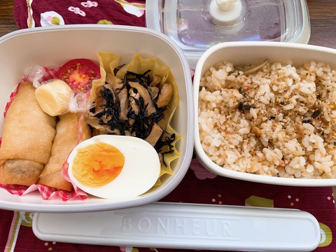 本日のお弁当　ひじき煮と春巻き