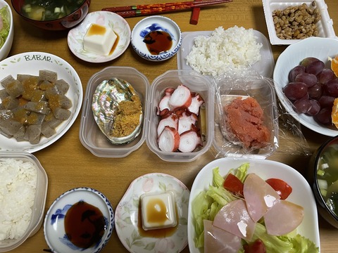 本日の夕食　焼きうに＆タコのお刺身