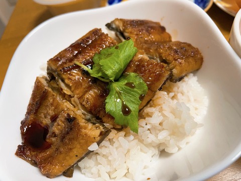 本日の夕食　うなぎ丼