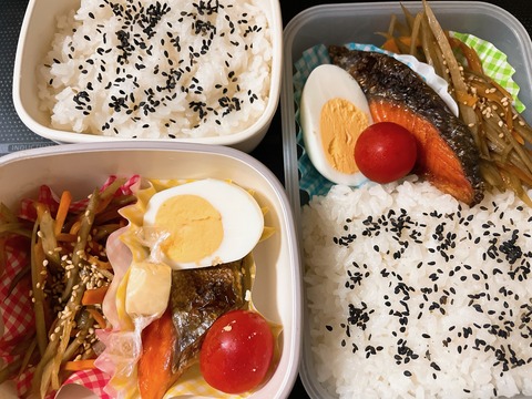 本日のお弁当　鮭弁当