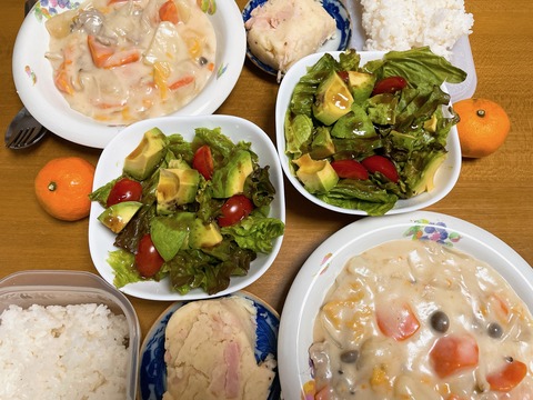本日の夕食　ホワイトシチュー