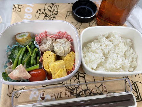 本日のお弁当　シュウマイ弁当