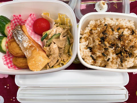 本日のお弁当　鮭弁当