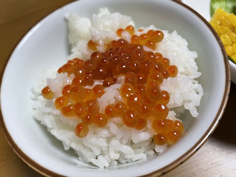 本日の夕食　いくら丼