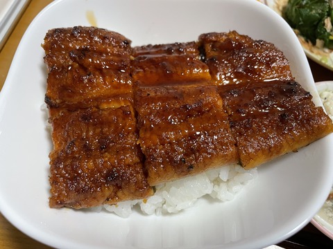 本日の夕食　国産うなぎ