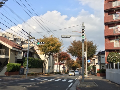 Good season for running and fall colours in Fukuoka