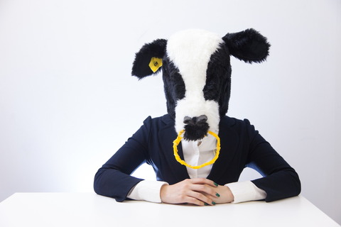 The customer service in Japan.