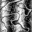 34690c64.gif