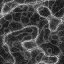 4c2fdd15.gif