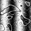 592770a5.gif