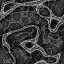 8ad62a10.gif