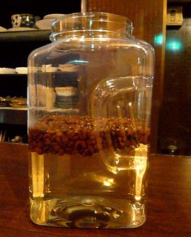 コーヒーウォッカ ウォッカ豆投入
