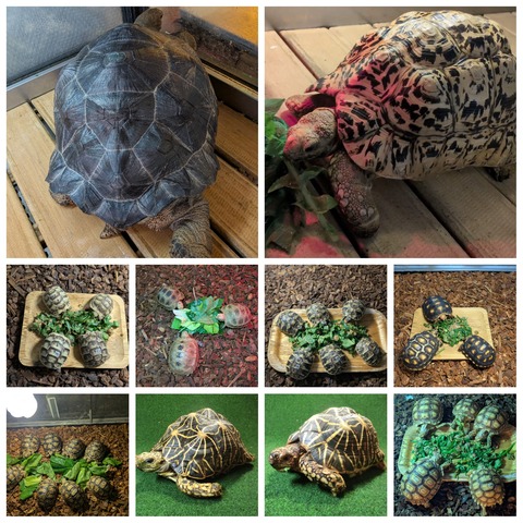 PhotoCollage_1764744144101