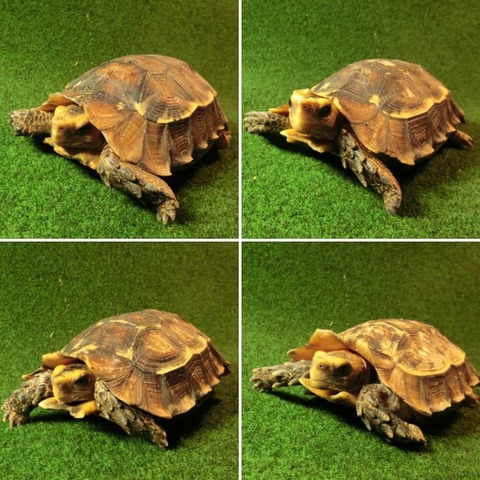 65852288_1667246453419141_7636652216807325696_n