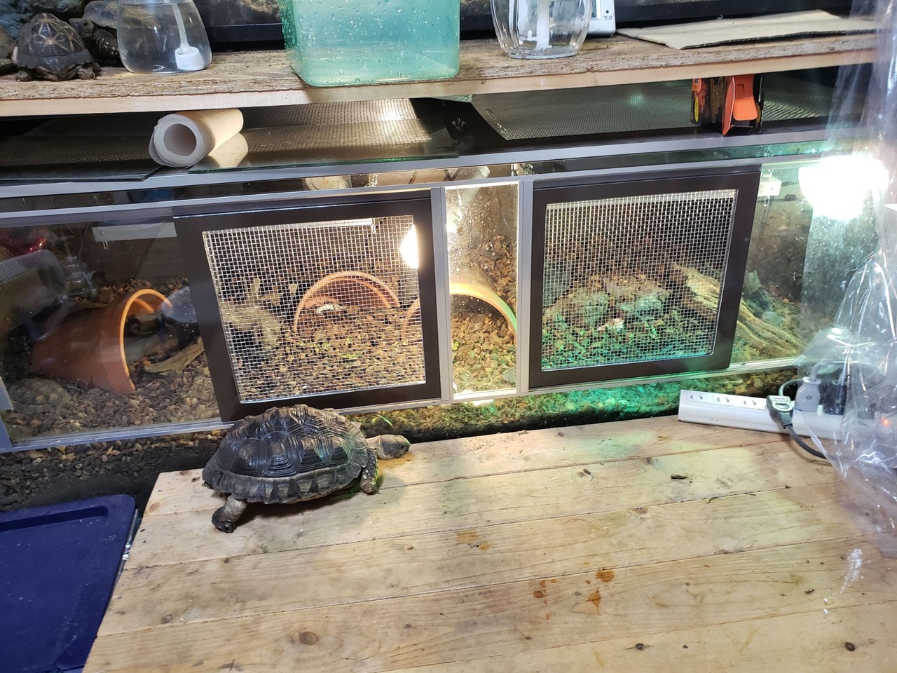 チャコケージレベルアップ ひさのblog