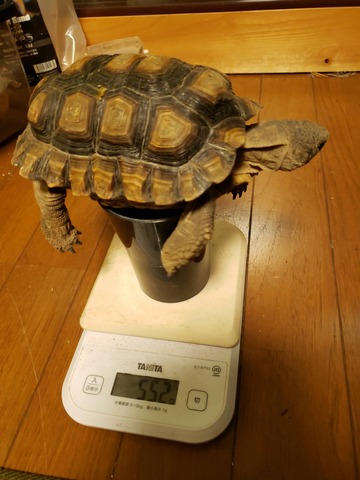 20190501_214446