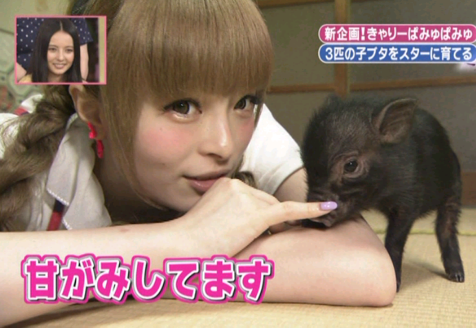 かいじゅうたちへ きゃりぱみゅと3匹の子ブタ 夢 言 の ア リ ス 未 来 の ガ ニ メ デ かいじゅうたちへ きゃりぱみゅと3匹の子ブタ 夢 言 の ア リ ス 未 来 の ガ ニ メ デ