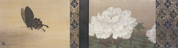 伊藤哲 四季胡蝶絵巻展 : とーるブロ