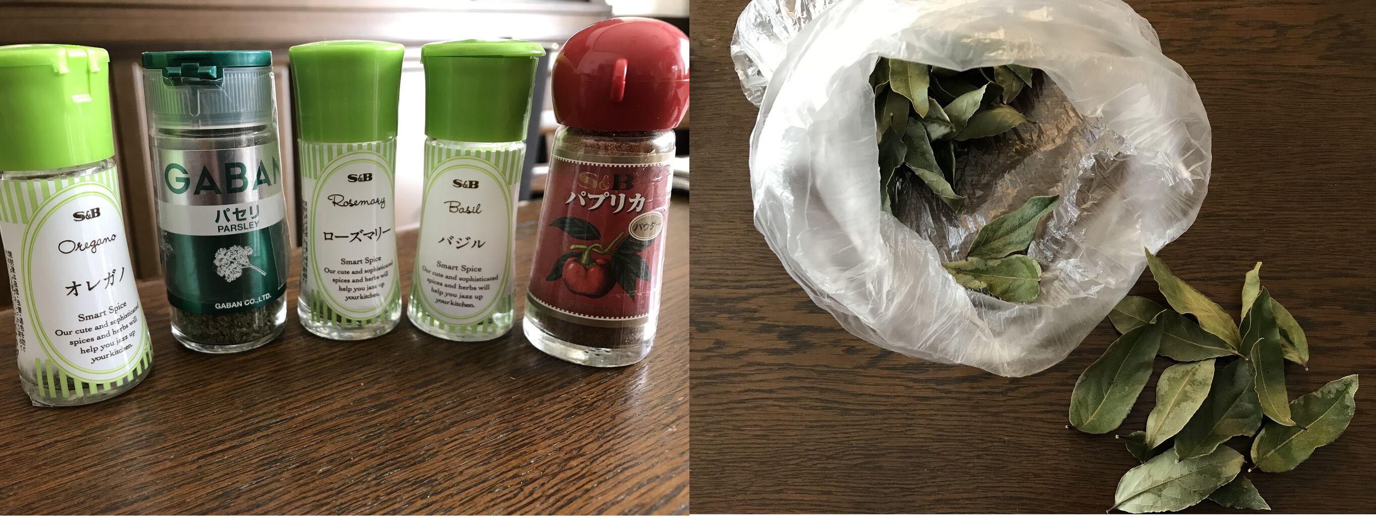 ヤマメ Toruちゃんどこ行くの