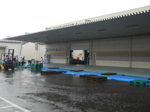 DSCN0918