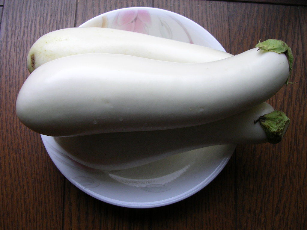 白ナス 忠犬コロ子のグルメ日記