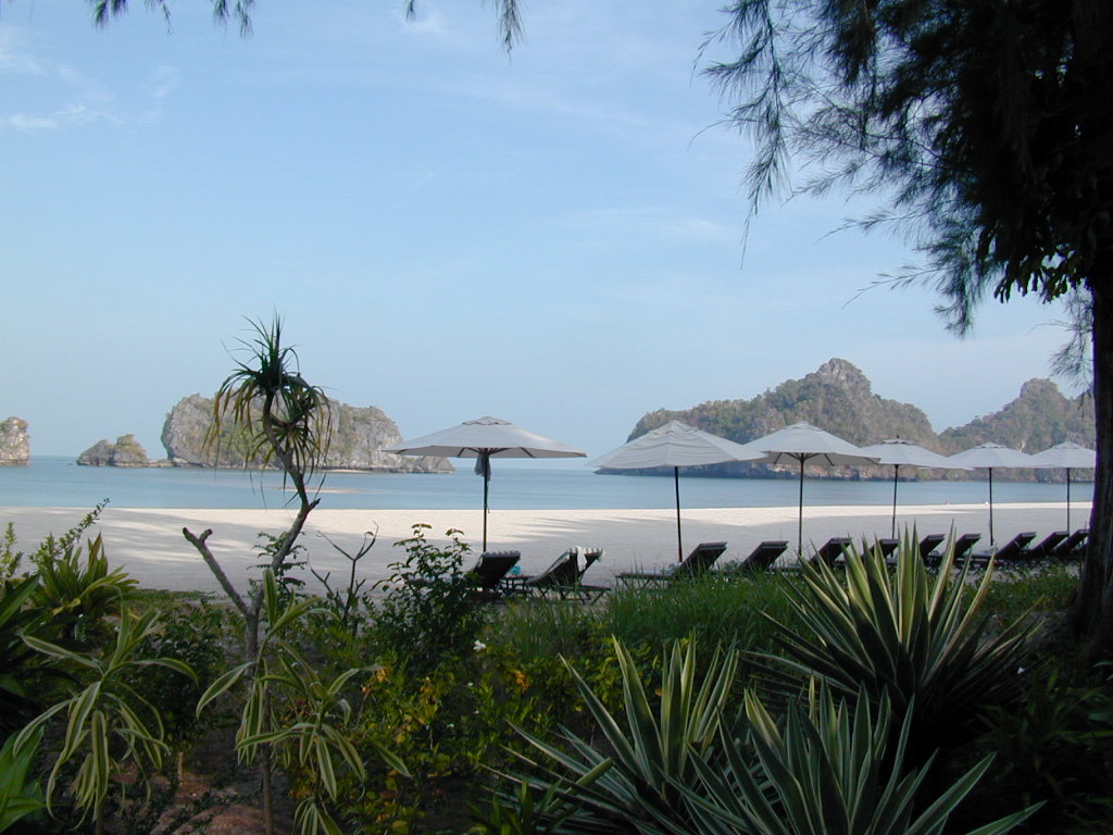 忠犬コロ子のグルメ日記