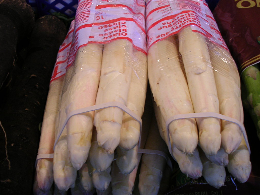 ホワイトアスパラガス 忠犬コロ子のグルメ日記