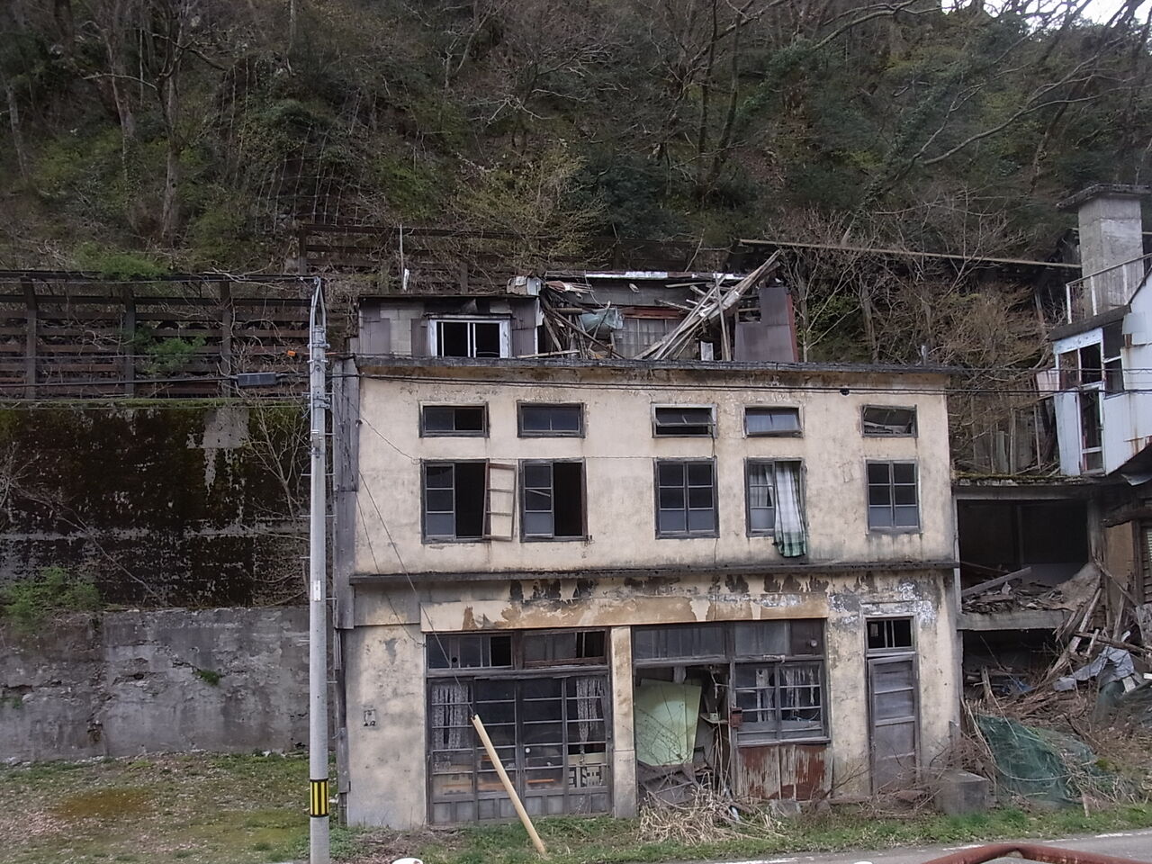 廃墟とカタクリ 忠犬コロ子のグルメ日記 廃墟とカタクリ 忠犬コロ子のグルメ日記