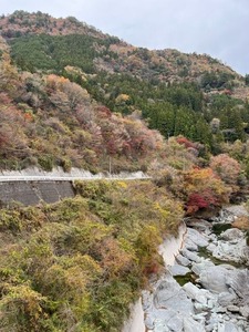 吉野川と紅葉