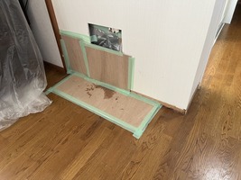 仮養生