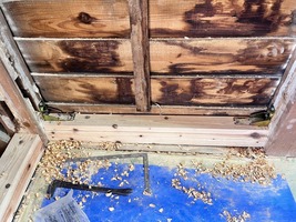 土台新設・金物補強