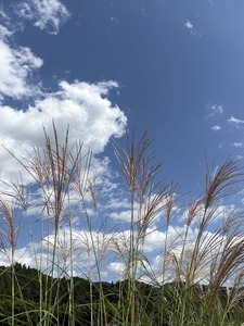 秋ですね～～～